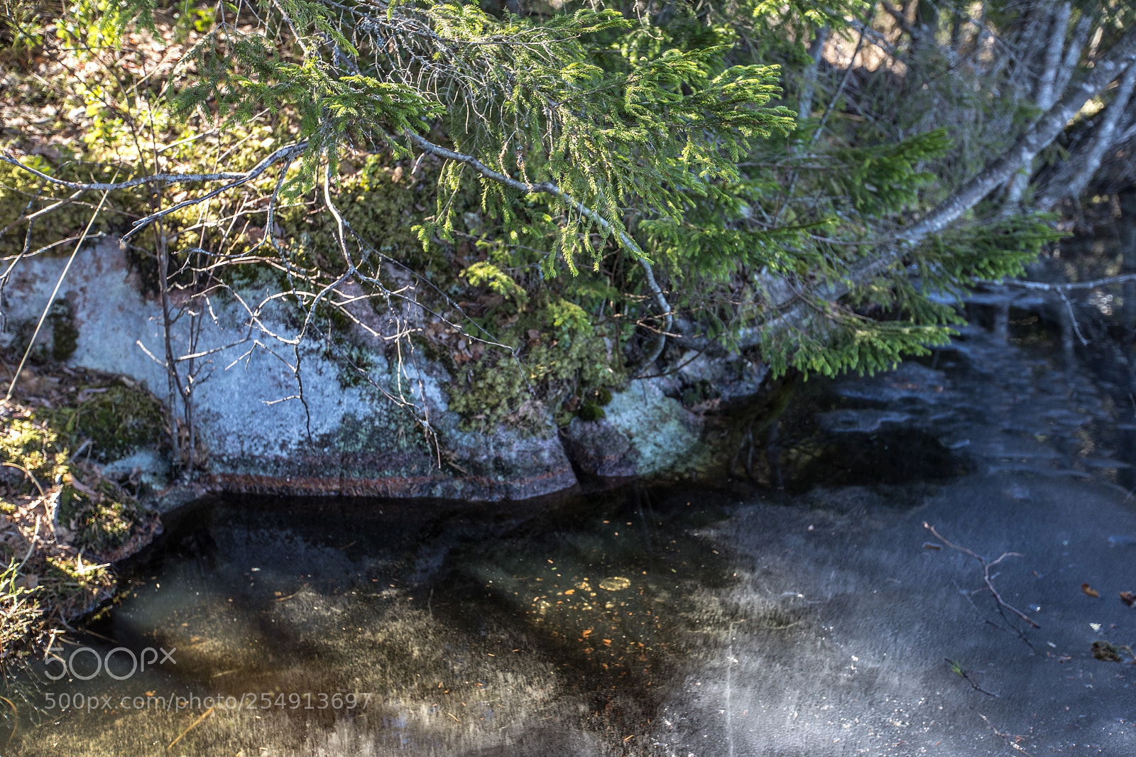 Canon EOS 5D Mark IV sample photo. Spring thaw photography