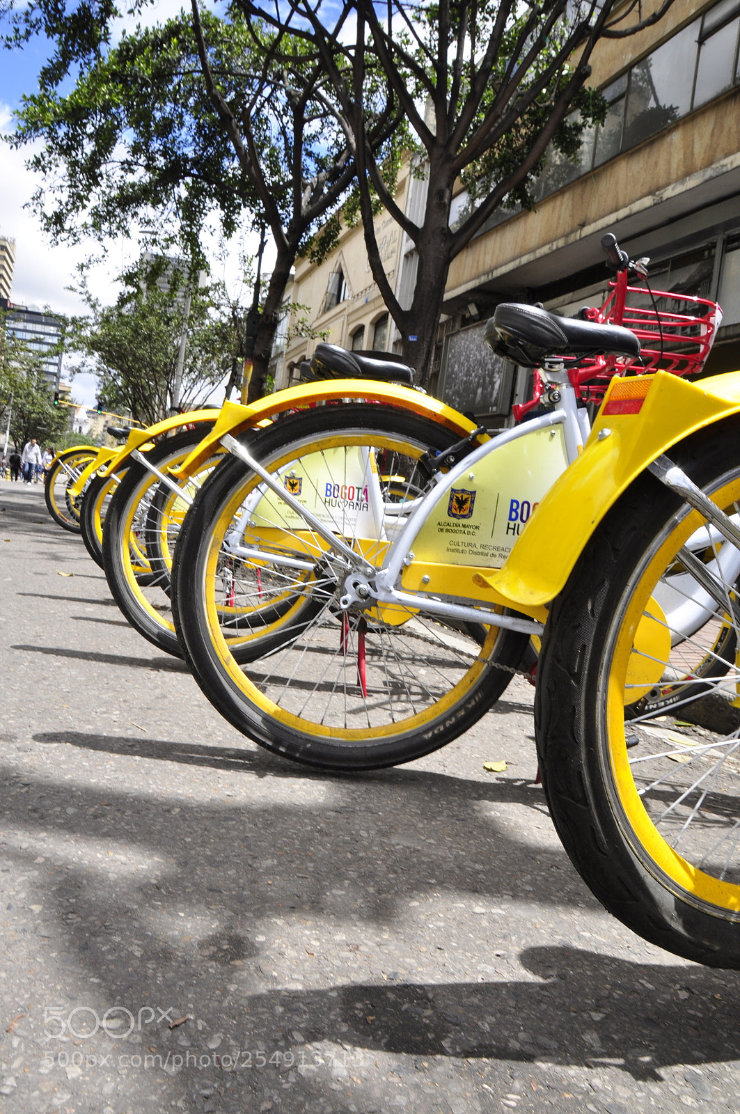 Nikon D90 sample photo. City bicycles photography