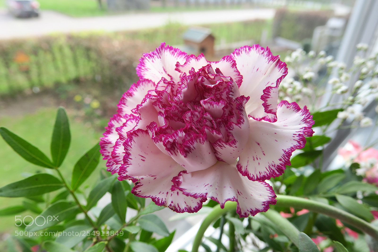 Canon PowerShot G3 X sample photo. Img photography