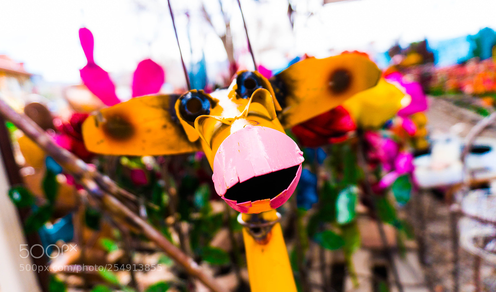 Sony a6300 sample photo. Nm (of ) photography