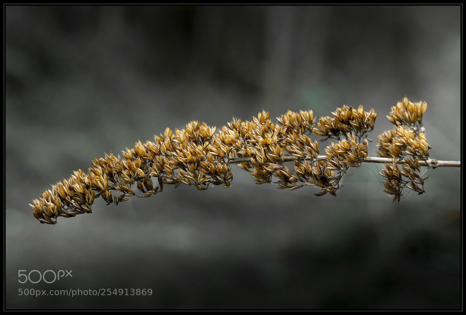Sony a6000 sample photo. ... photography