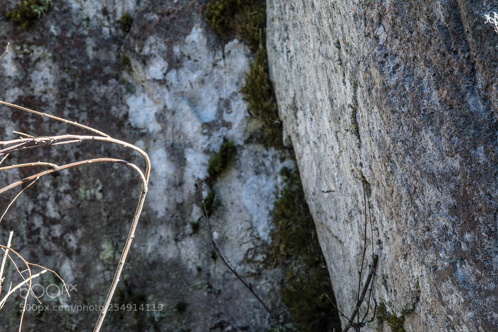 Canon EOS 5D Mark IV sample photo. On the rocks photography
