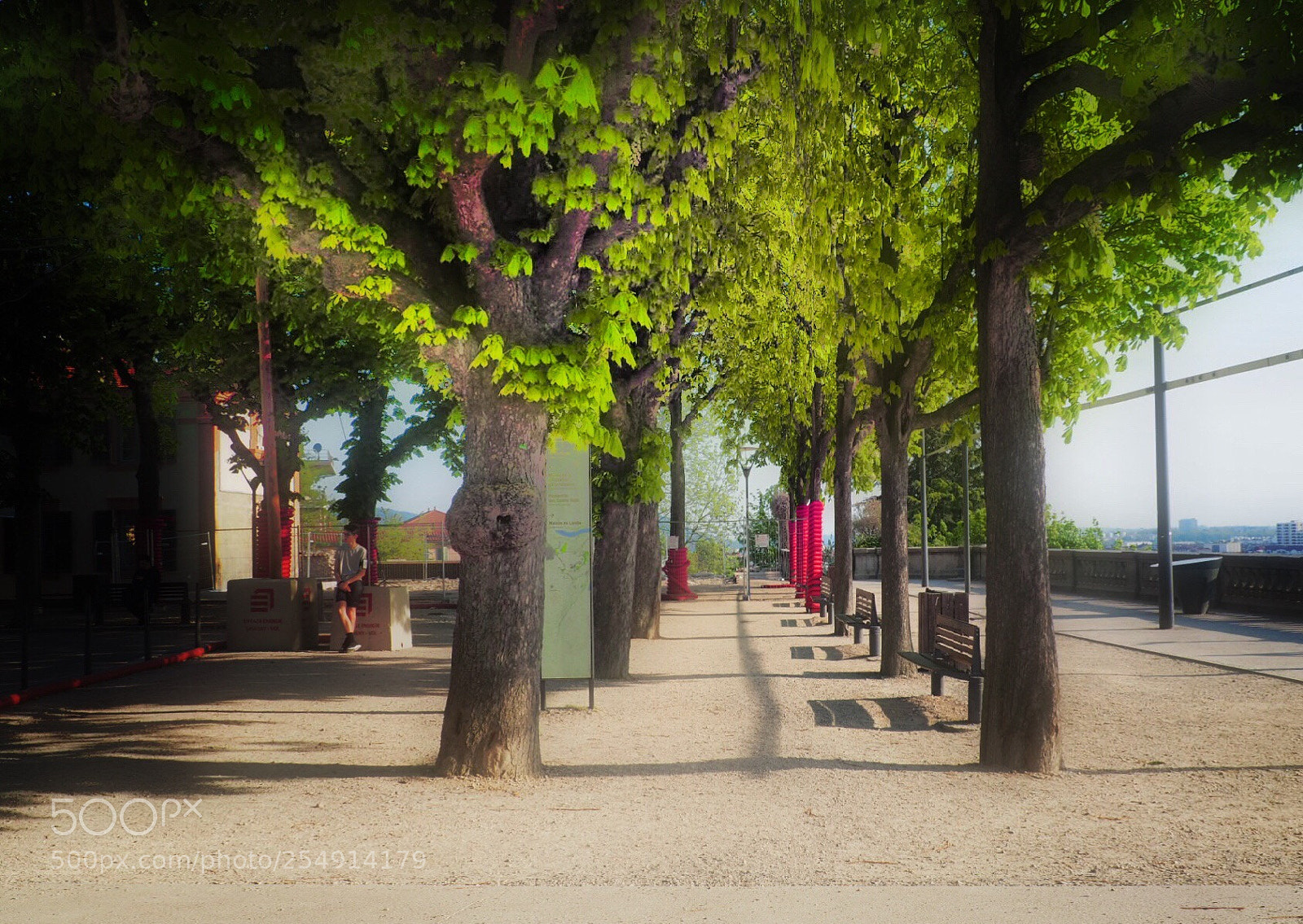 Olympus OM-D E-M10 II sample photo. The park photography