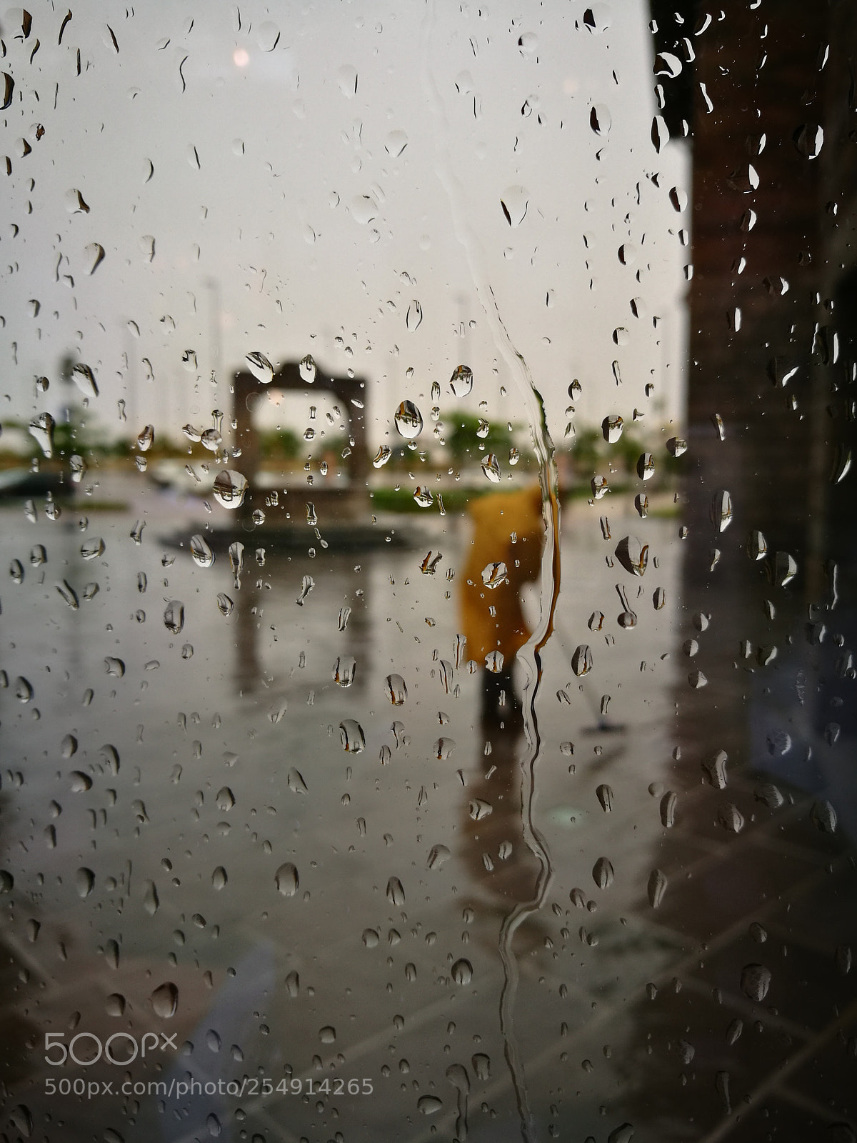 HUAWEI P9 sample photo. Untitled photography