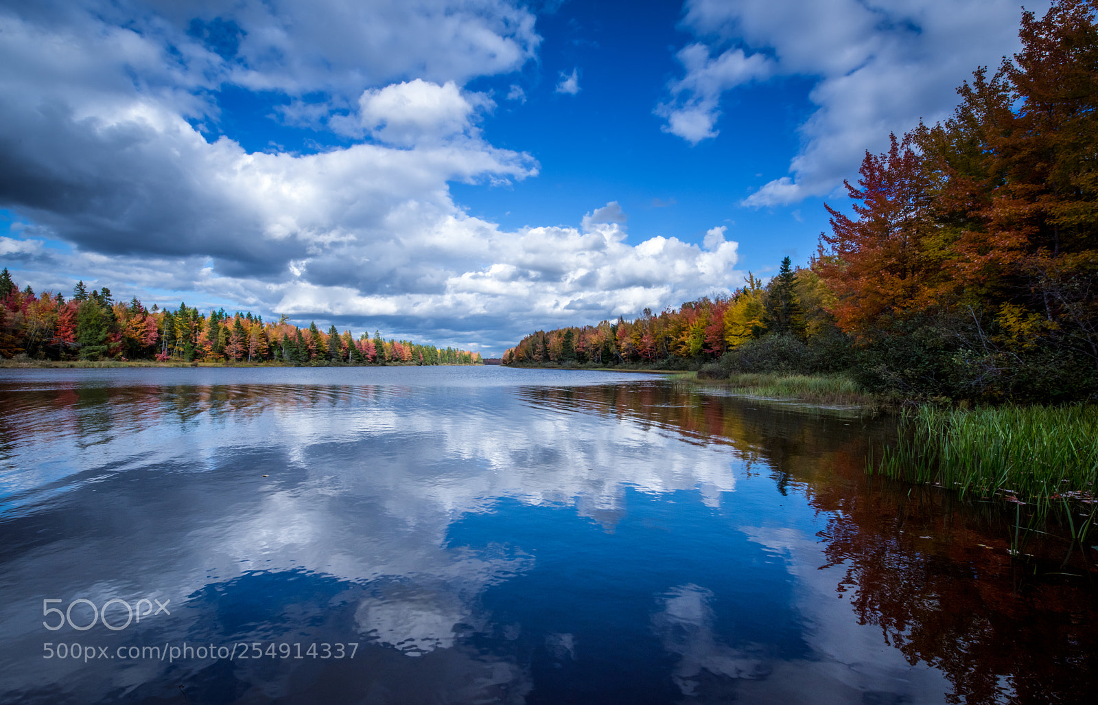 Nikon D810 sample photo. Irish town park lake photography
