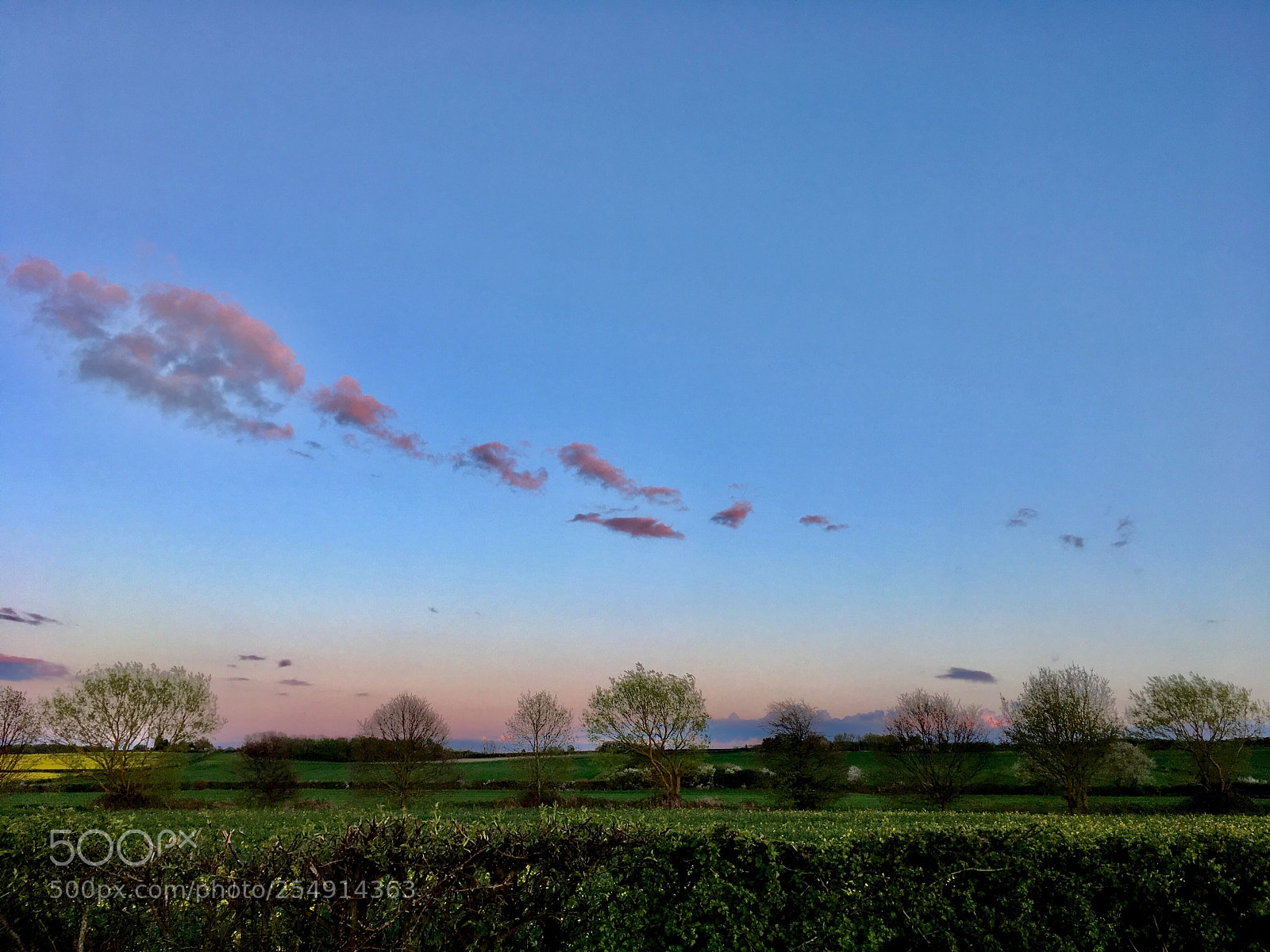 Apple iPhone SE sample photo. Evening run  photography