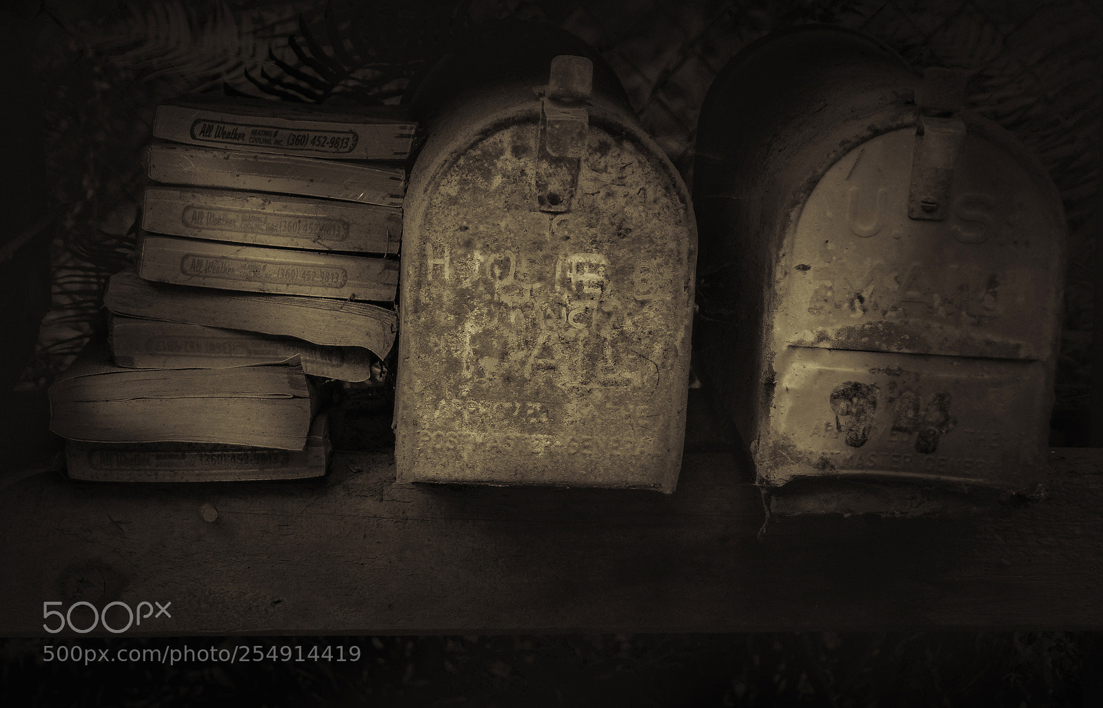 Sony SLT-A77 sample photo. Forest mailbox photography