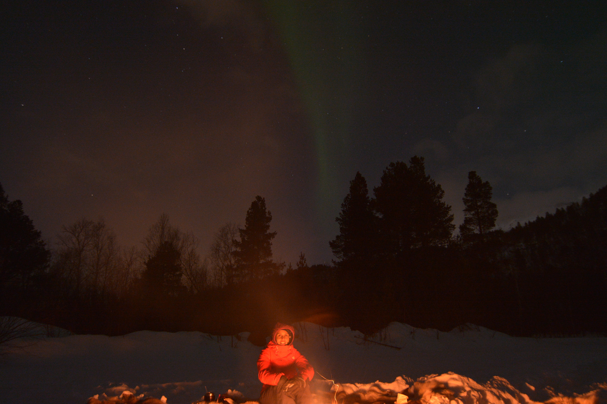 Nikon D7100 sample photo. Under arctic sky photography