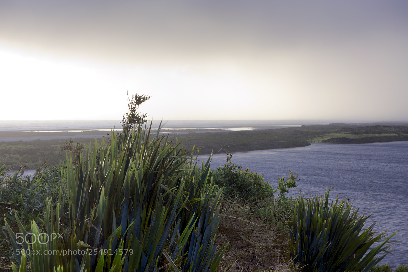 Nikon D810 sample photo. Edit photography
