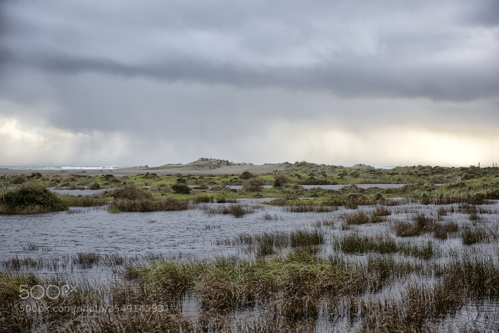 Nikon D810 sample photo. Edit photography