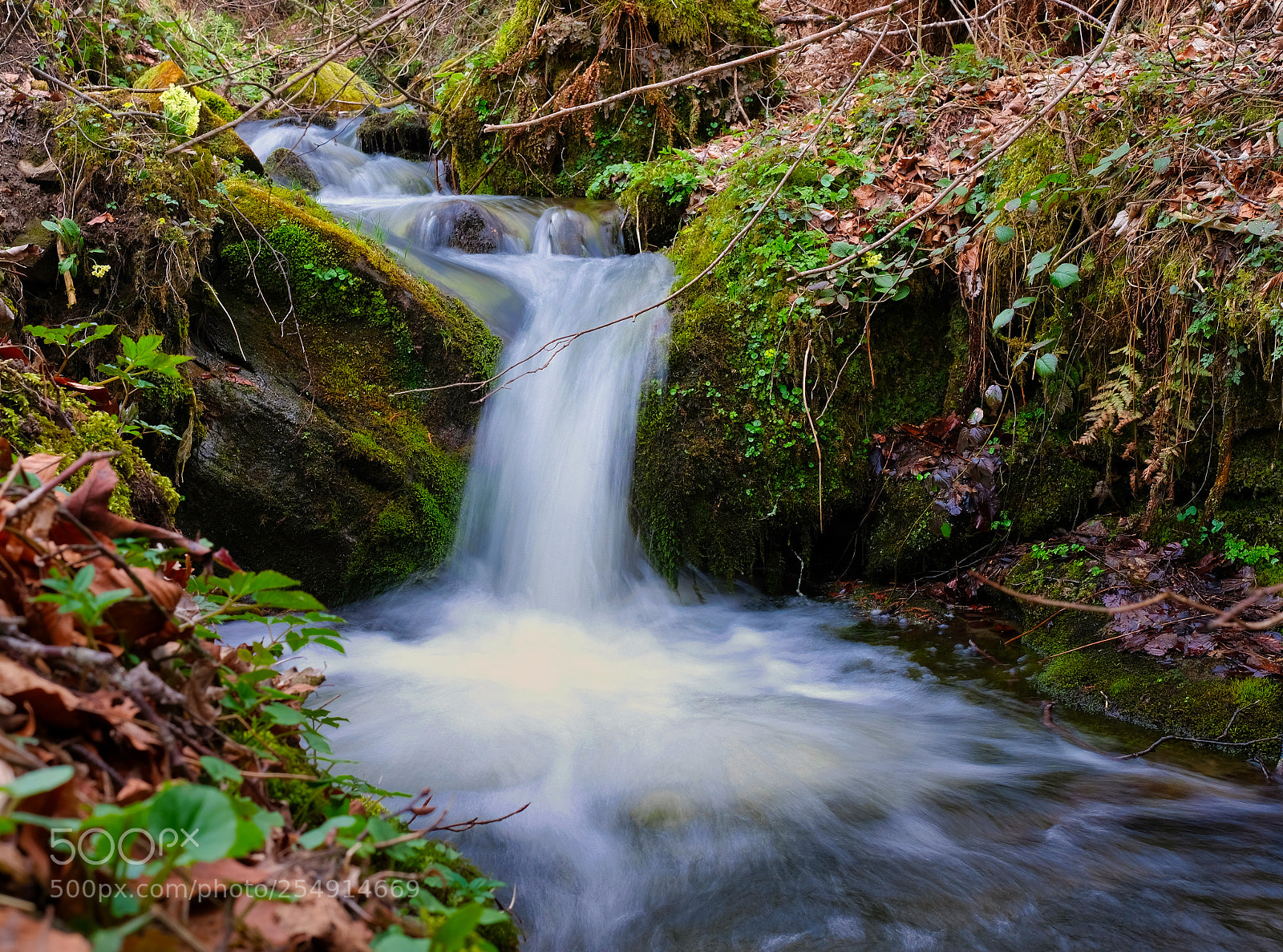 Fujifilm X-Pro2 sample photo. Threshold in stream photography