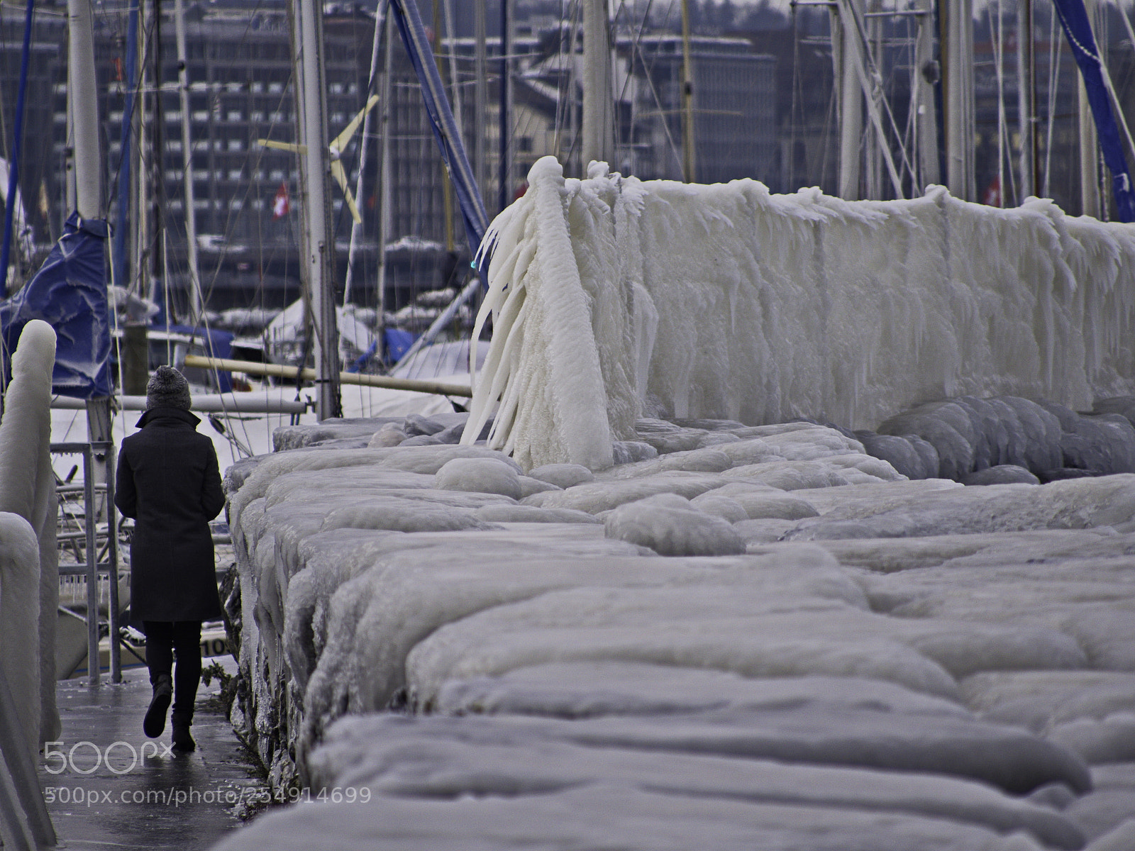 Panasonic Lumix DMC-GX8 sample photo. A walk in winter photography