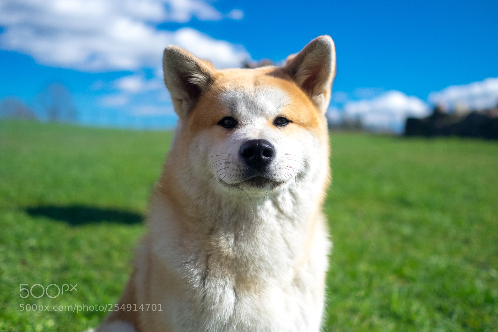 Fujifilm X-T10 sample photo. Riki photography