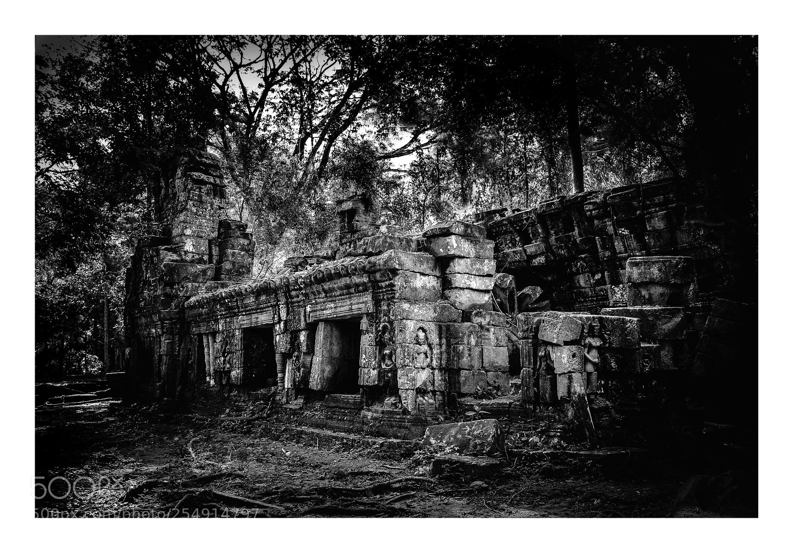 Nikon D800 sample photo. Ta prohm v photography