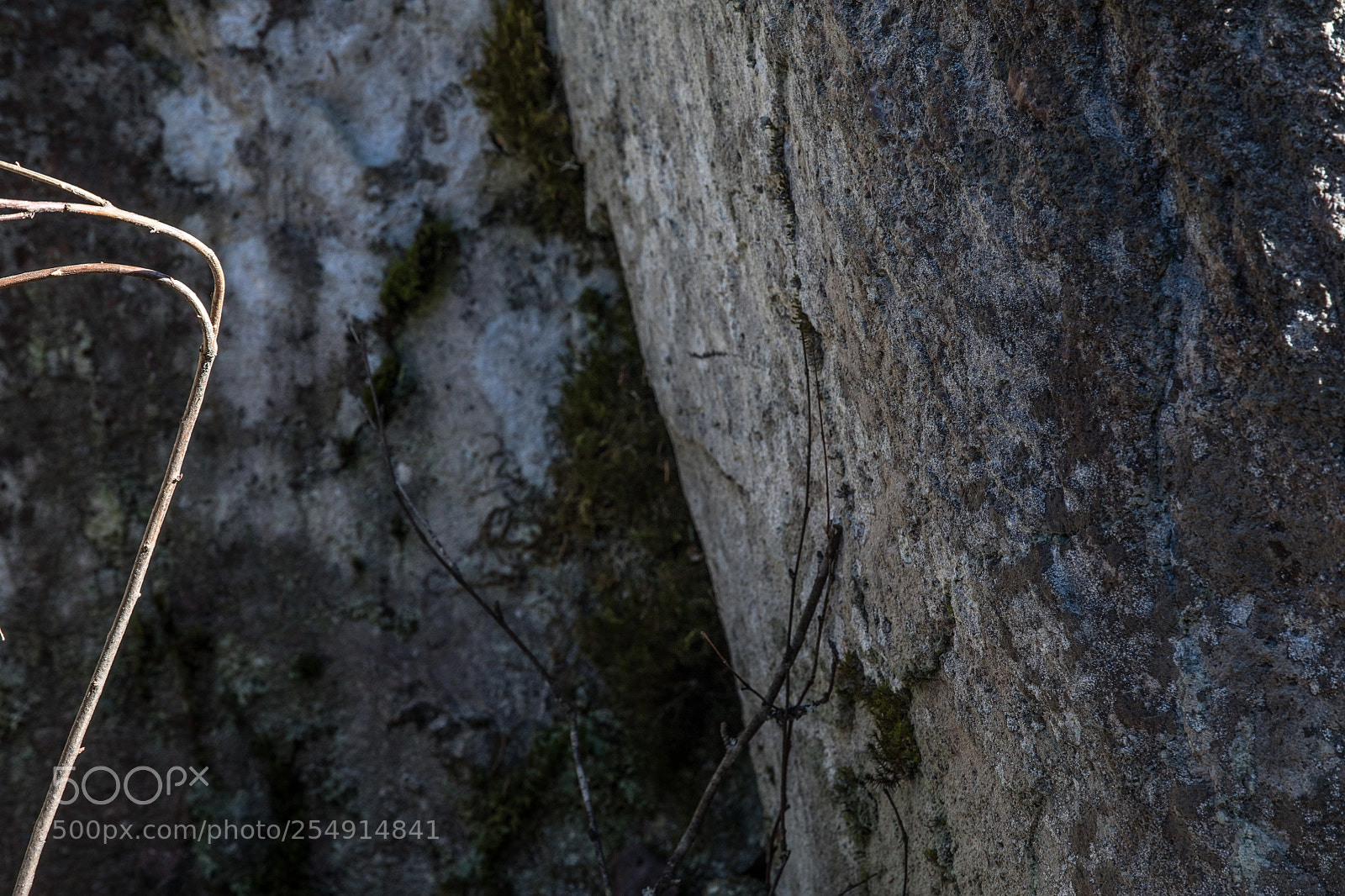 Canon EOS 5D Mark IV sample photo. On the rocks ii photography