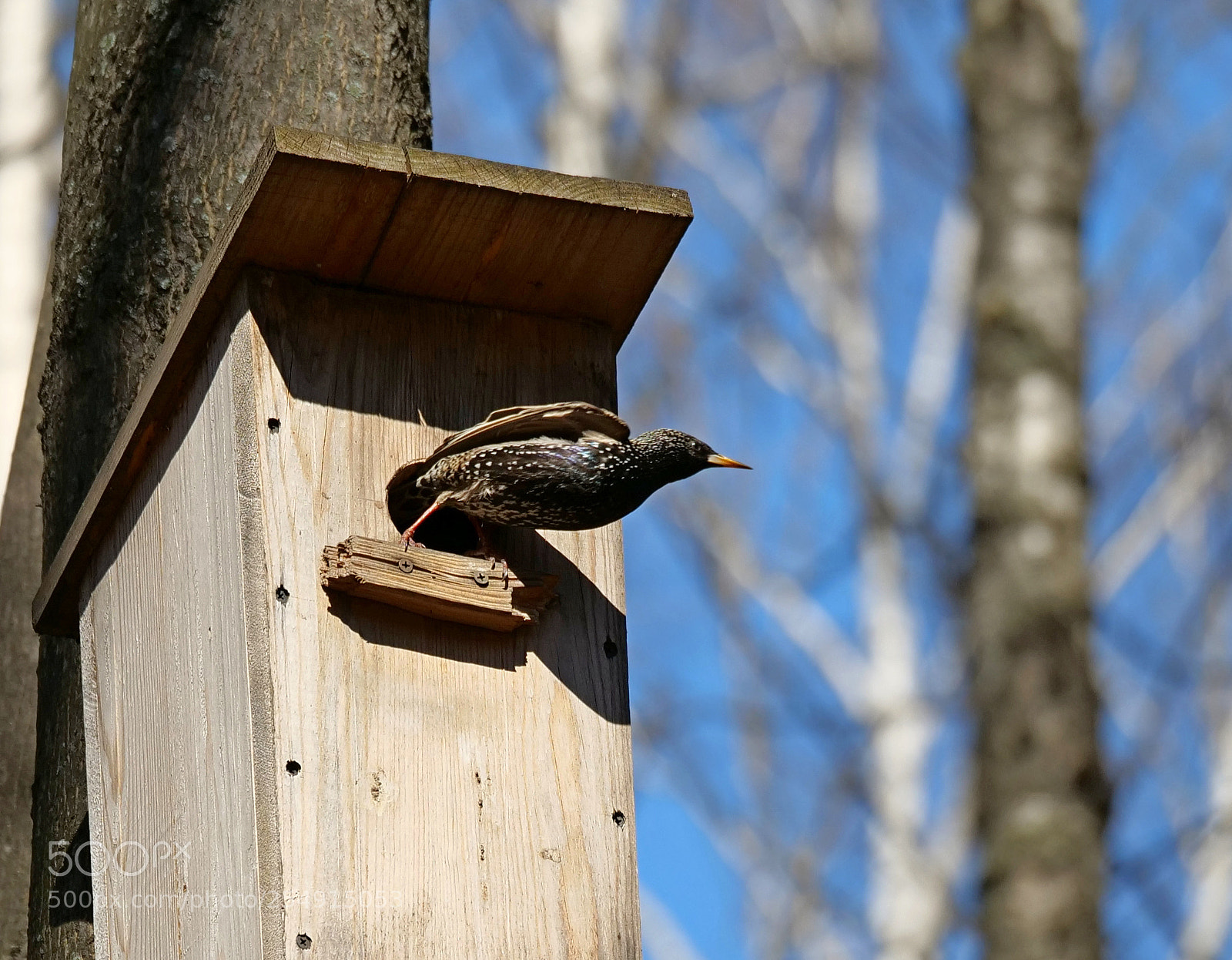 Panasonic Lumix DC-G9 sample photo. Take-off photography