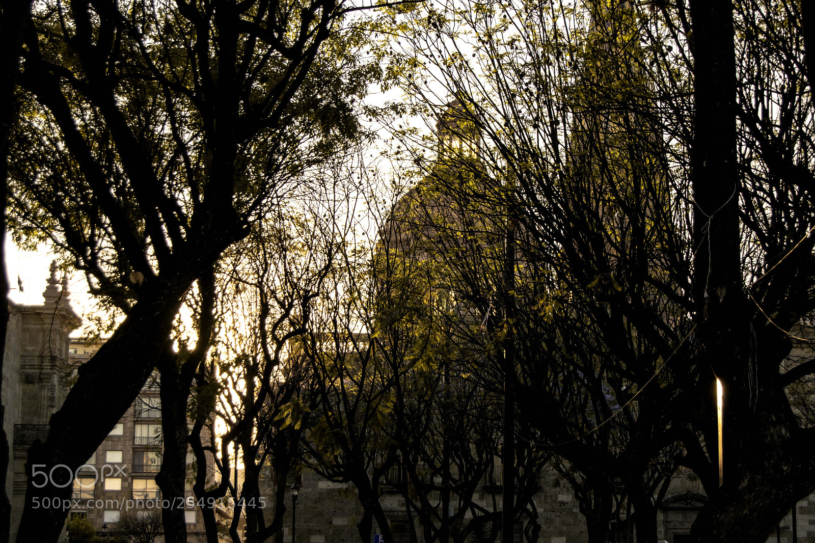 Nikon D3300 sample photo. Cathedral of guadalajara photography