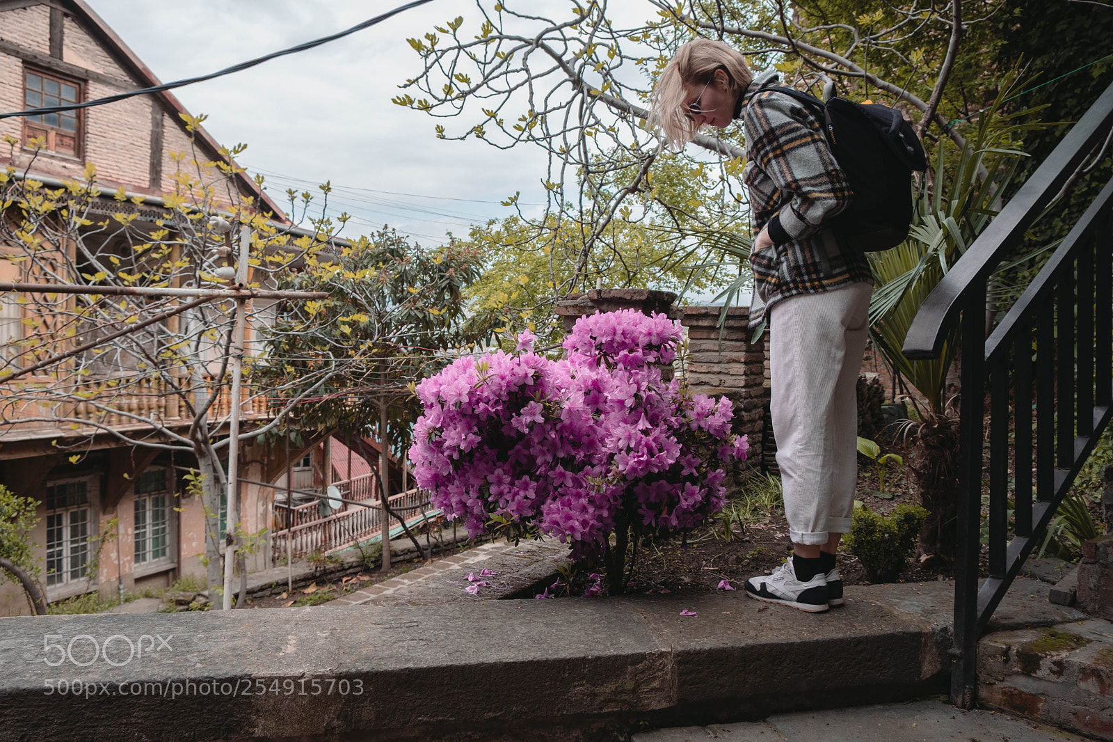 Fujifilm X-T20 sample photo. Blossom photography
