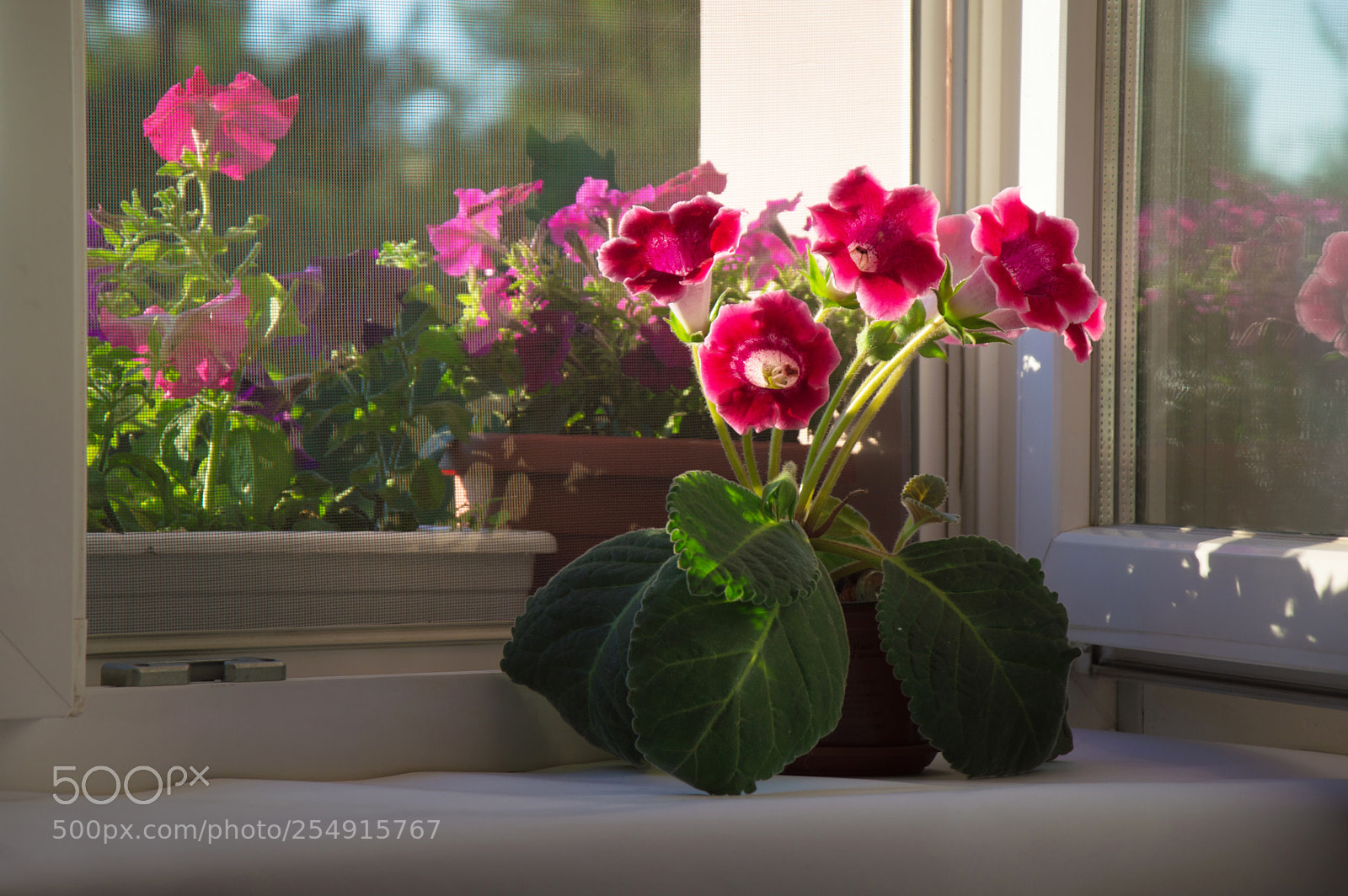 Nikon D3200 sample photo. Photo in full growth photography