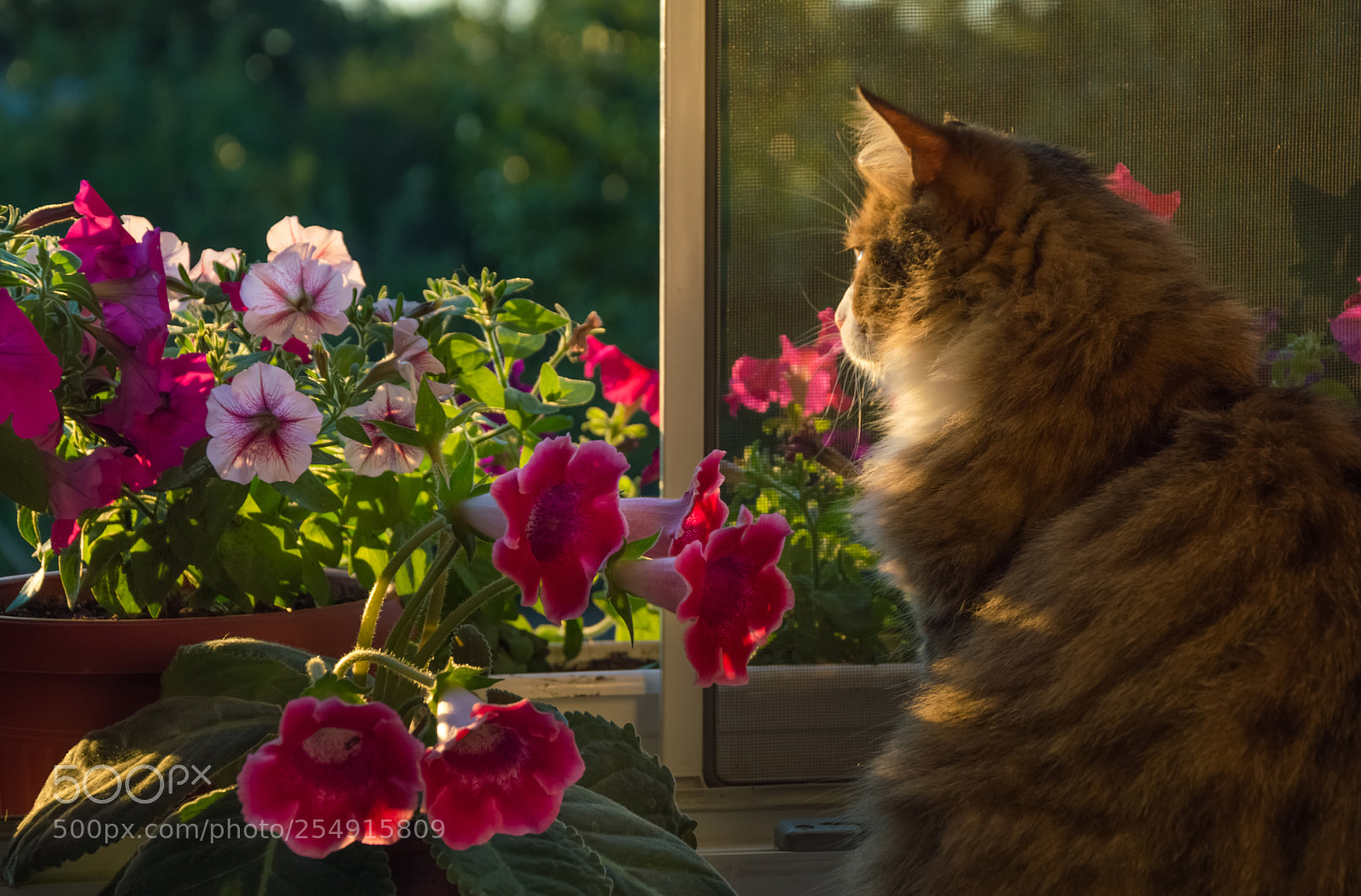 Nikon D3200 sample photo. Full growth of long photography
