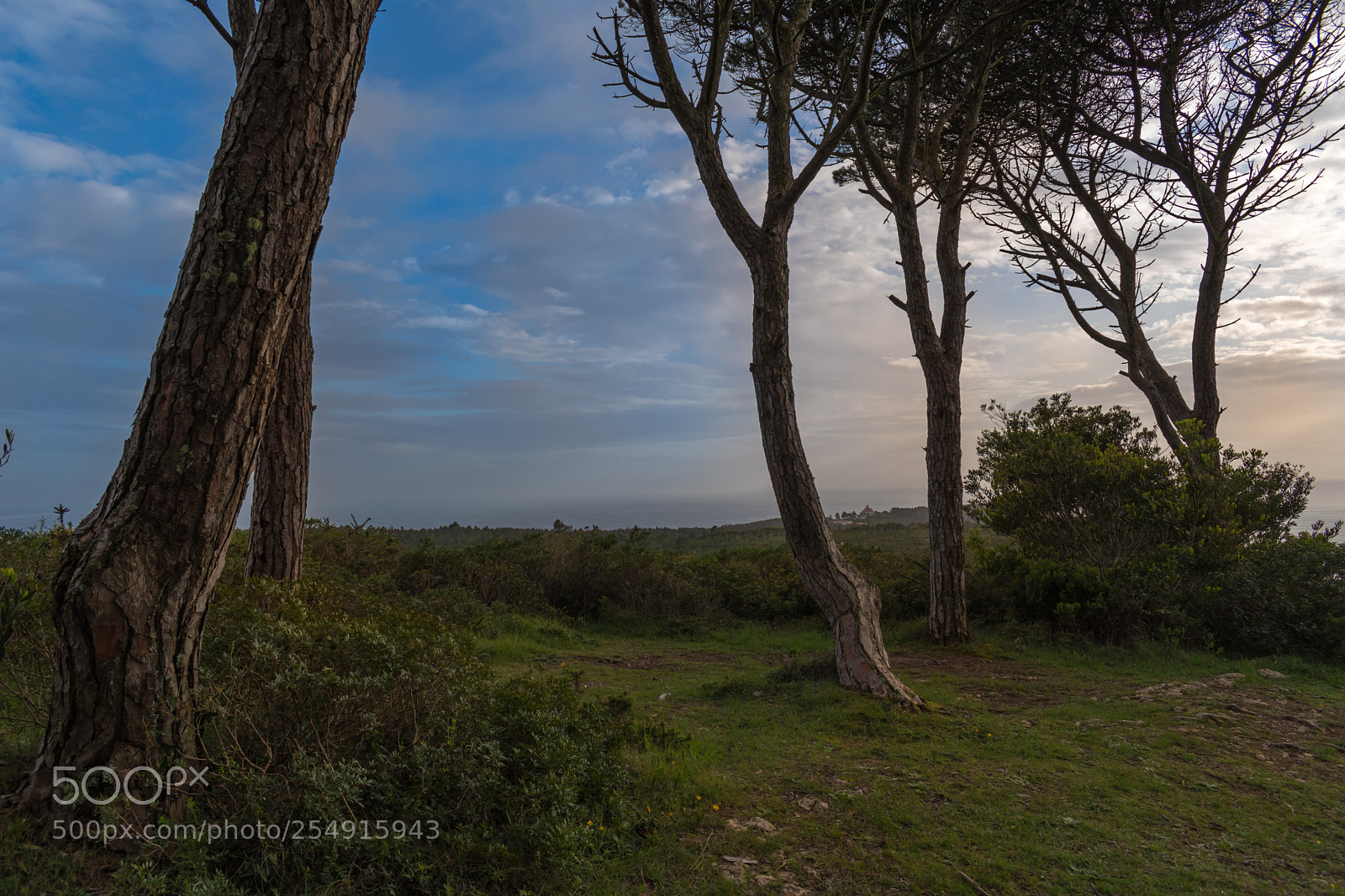 Nikon D5600 sample photo. Figueira da foz photography