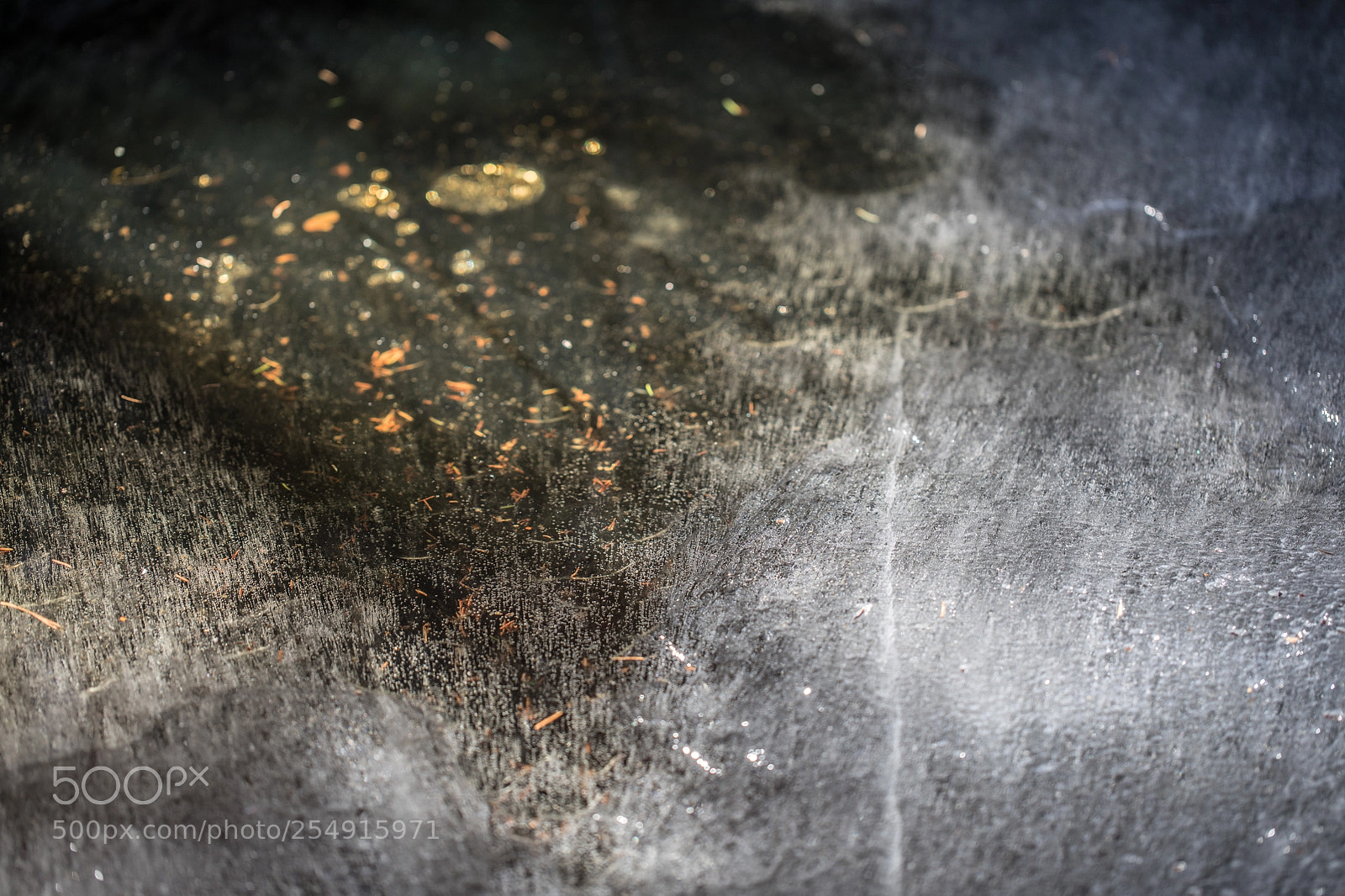 Canon EOS 5D Mark IV sample photo. Lake ice iii photography