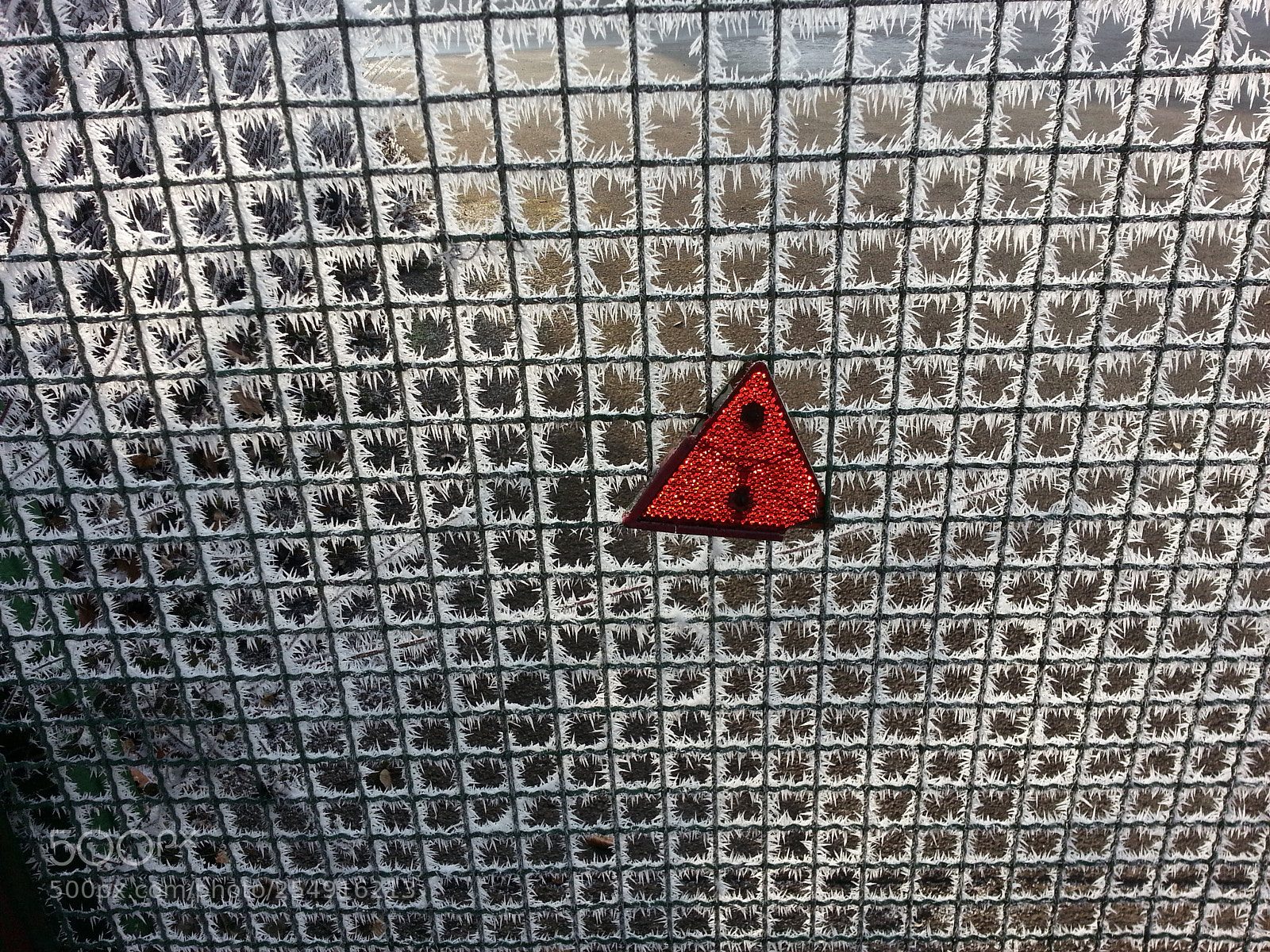 Samsung Galaxy S3 sample photo. Untitled photography