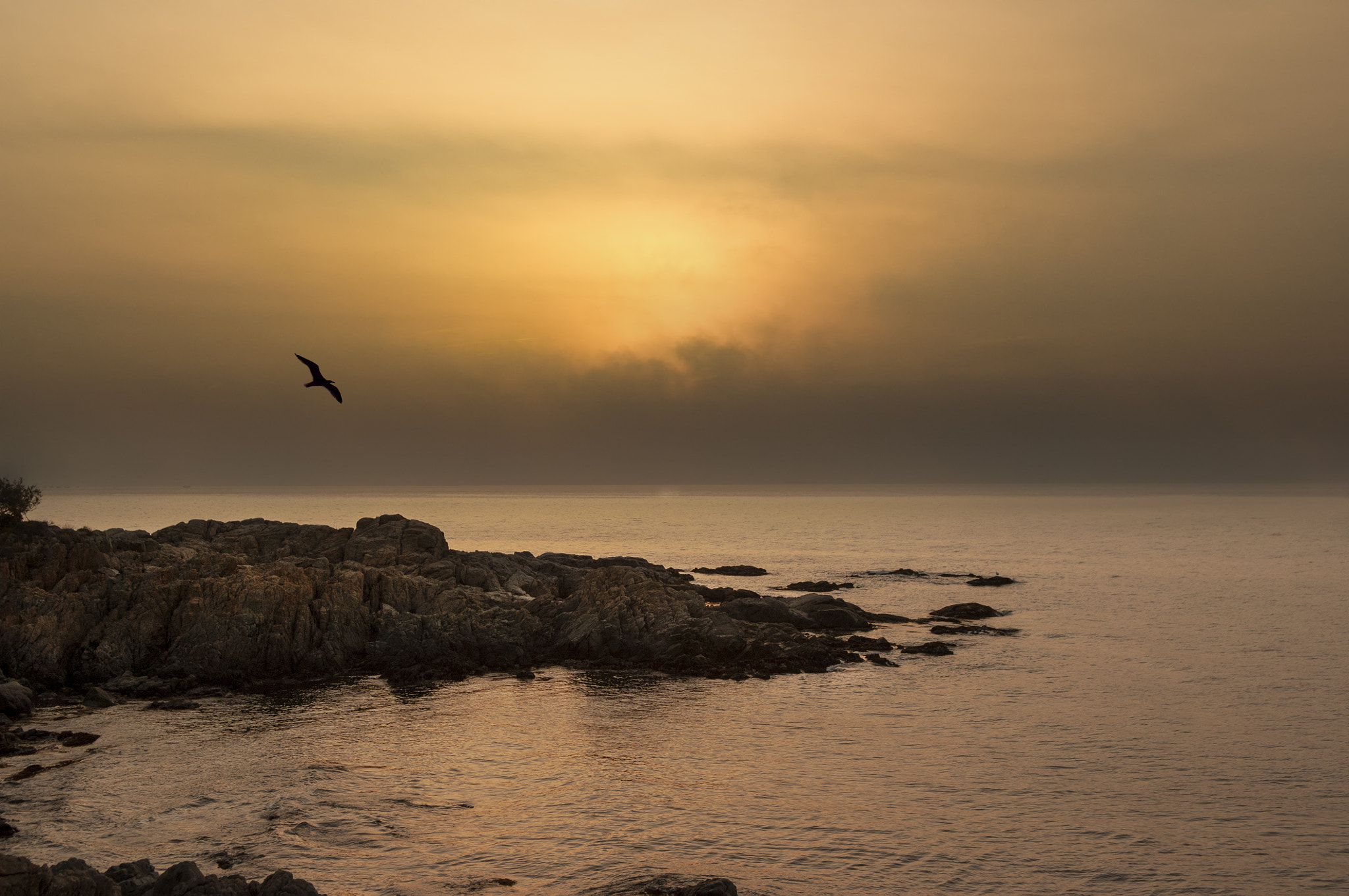 Nikon D2Xs sample photo. 06:45 am photography