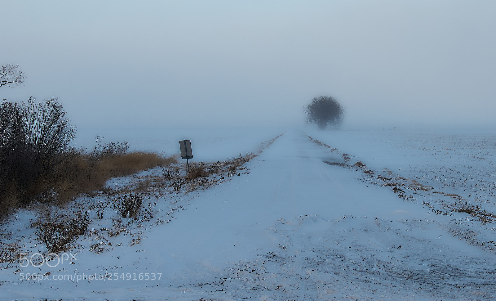 Nikon D200 sample photo. Bleak outlook photography