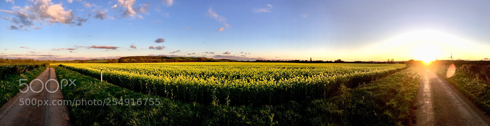 Apple iPhone SE sample photo. Evening run  photography