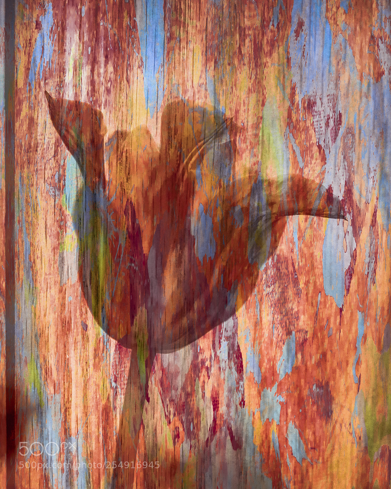 Canon EOS 5D Mark II sample photo. Tulp photography