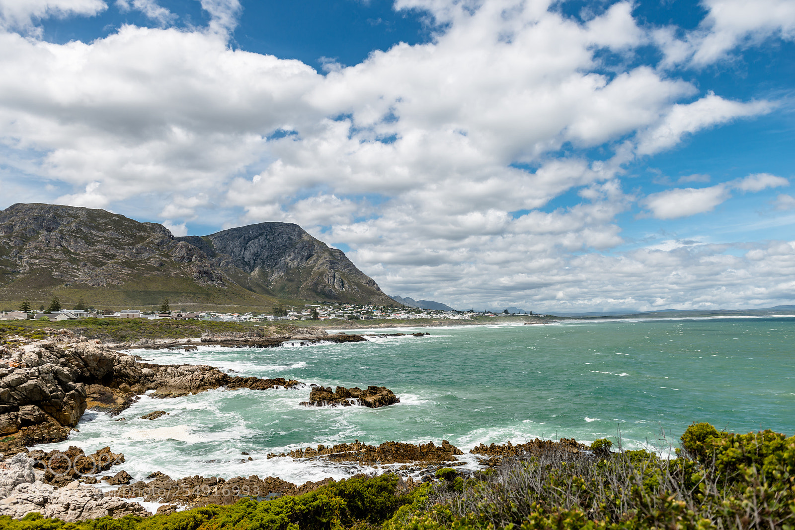 Nikon D800 sample photo. Walker bay nature reserve photography