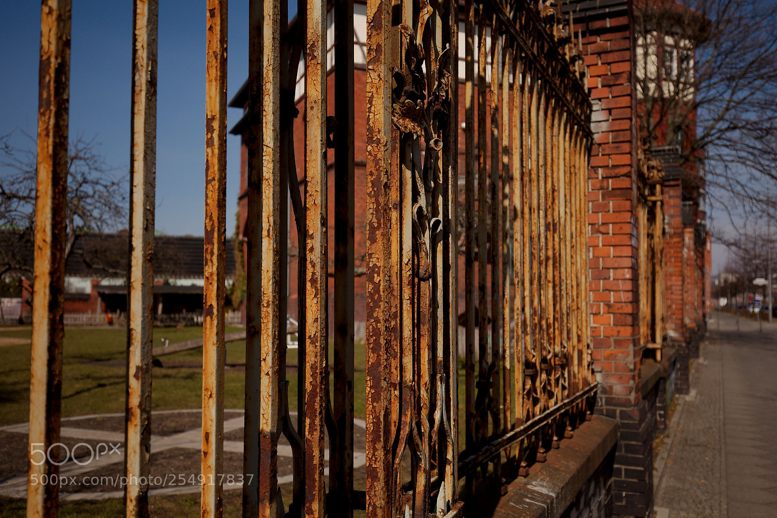Canon EOS 5D Mark II sample photo. Img photography