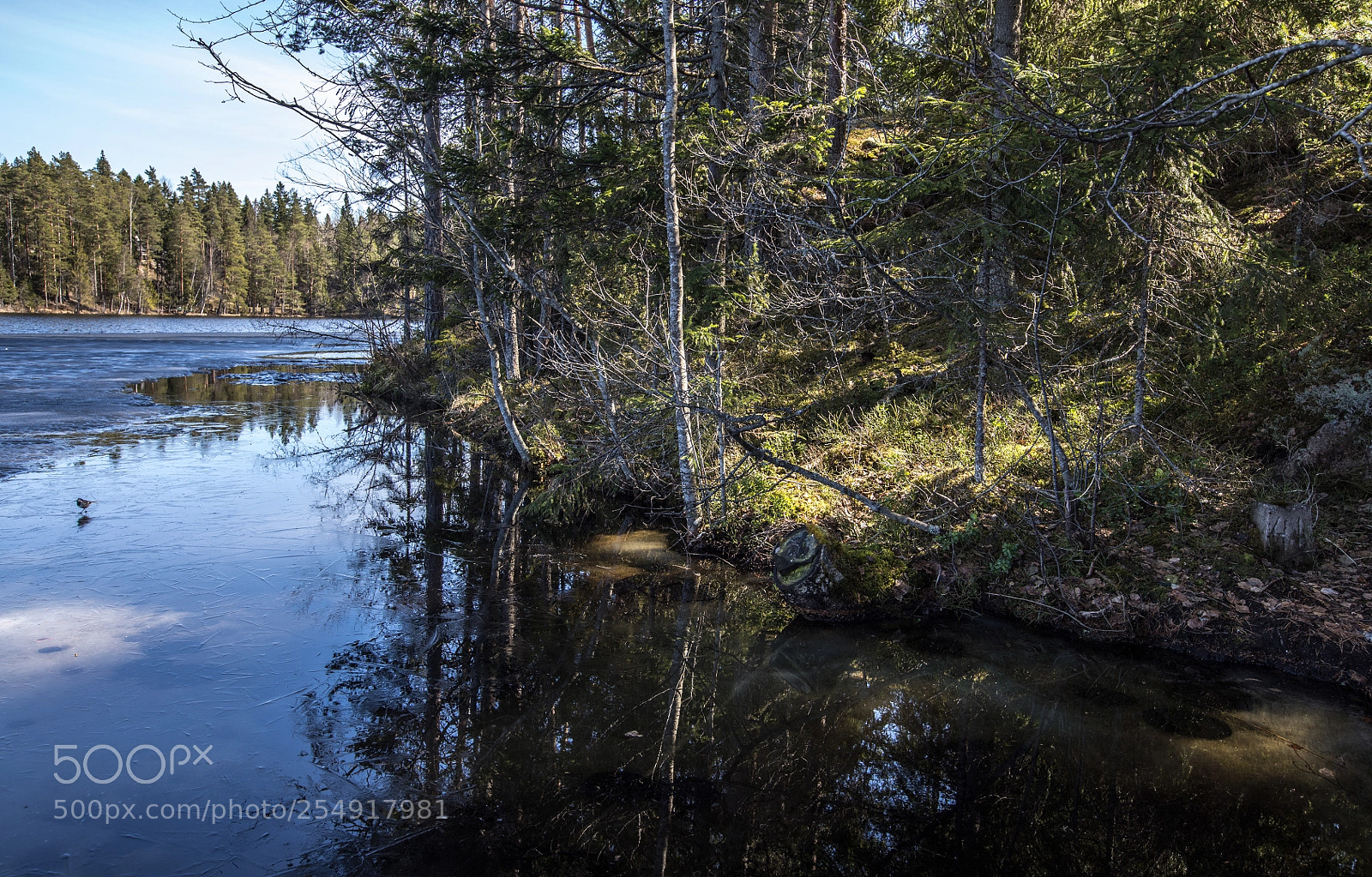 Canon EOS 5D Mark IV sample photo. Lake thaw photography