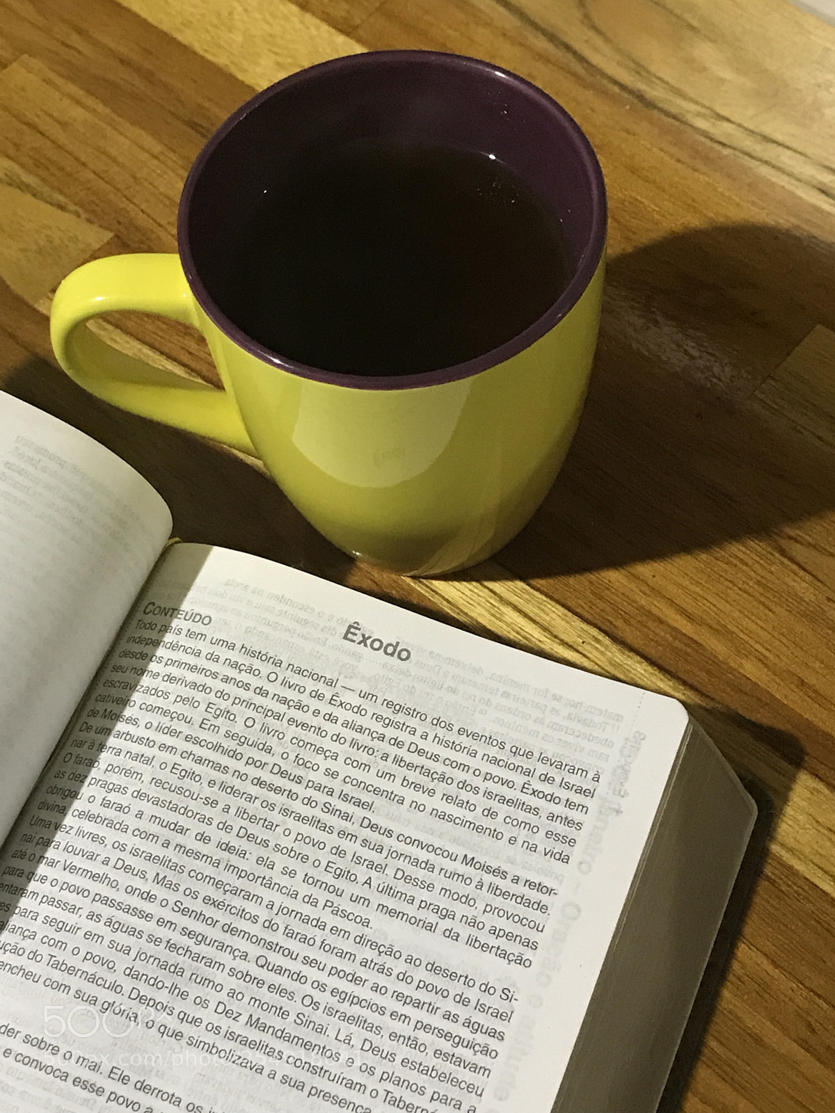 Apple iPhone 7 Plus sample photo. Tea & word of god photography