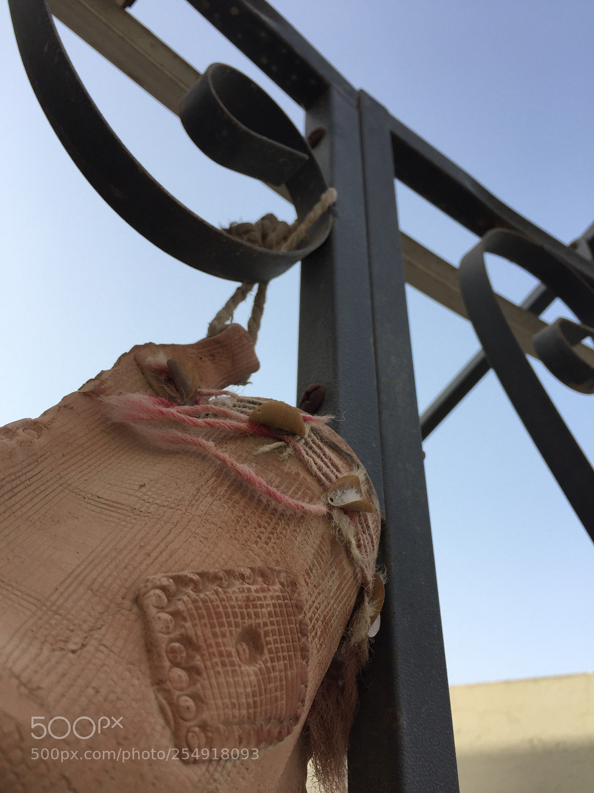 Apple iPhone 6 sample photo. Untitled photography