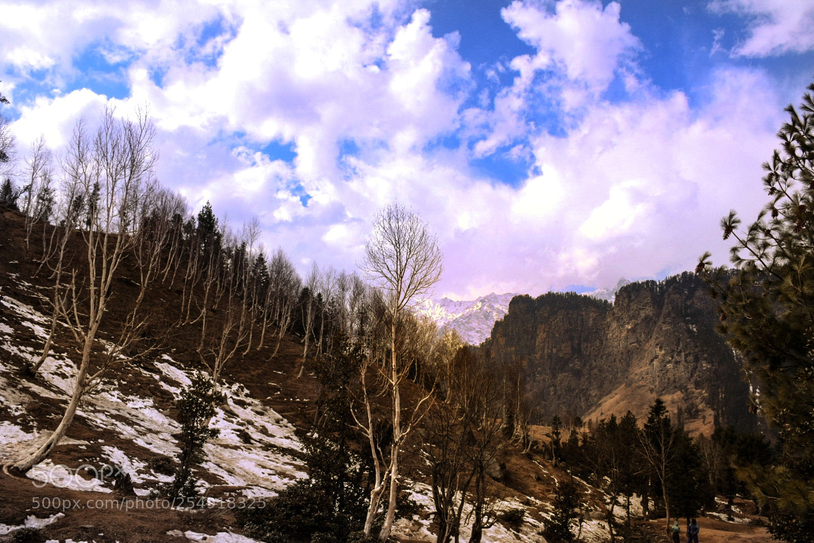 Nikon D5300 sample photo. Untitled photography