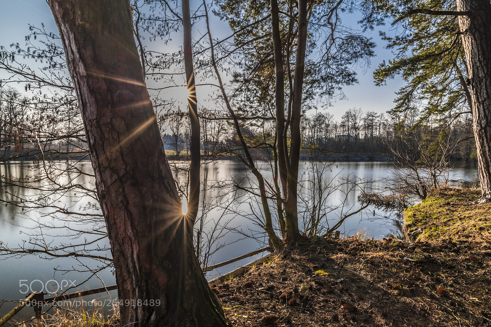 Nikon D850 sample photo. Olešovice, czech republic photography