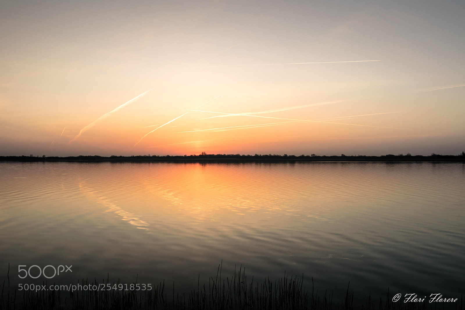Nikon D5300 sample photo. Early morning in spring photography