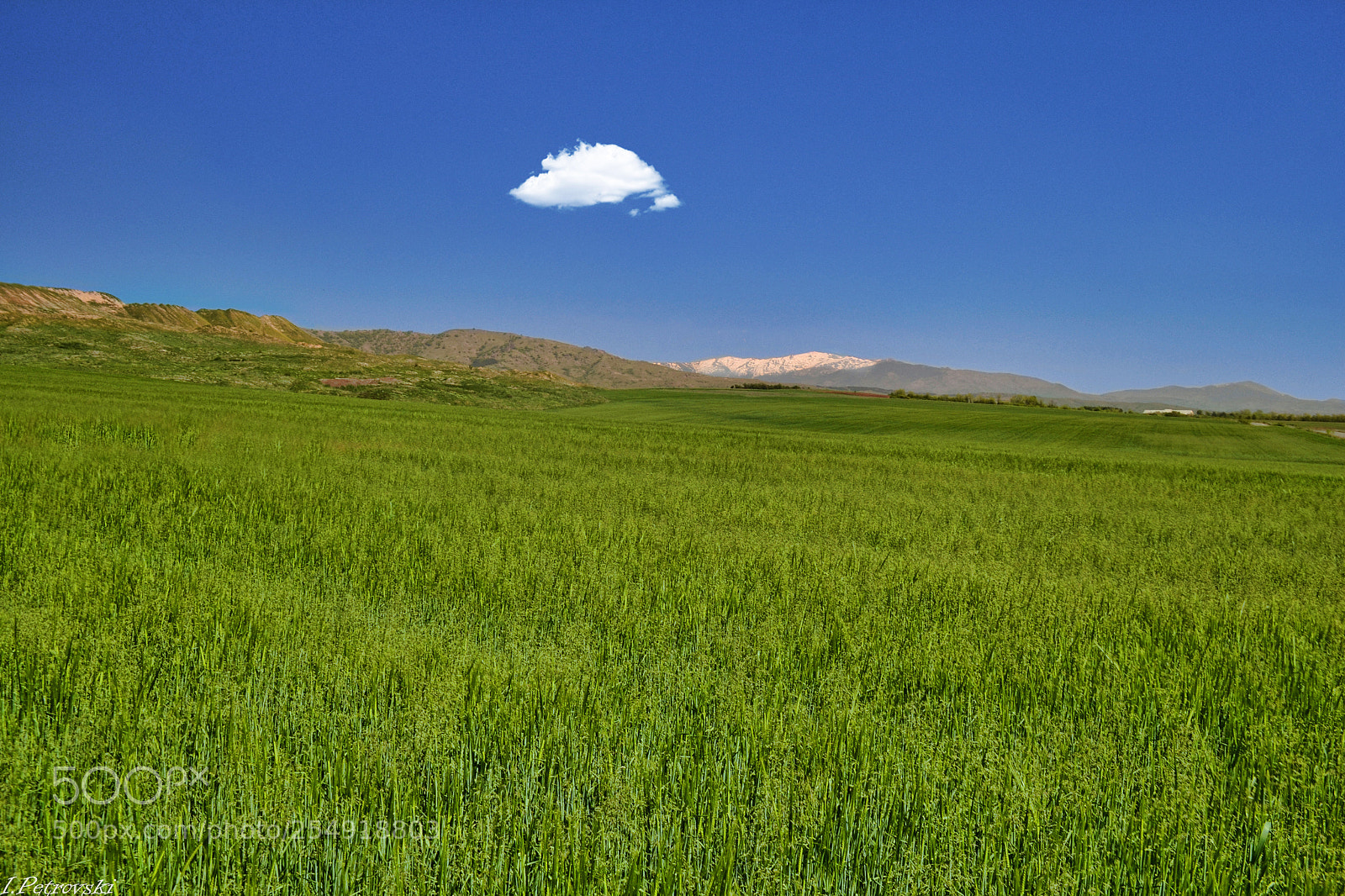 Nikon D3100 sample photo. Green field photography