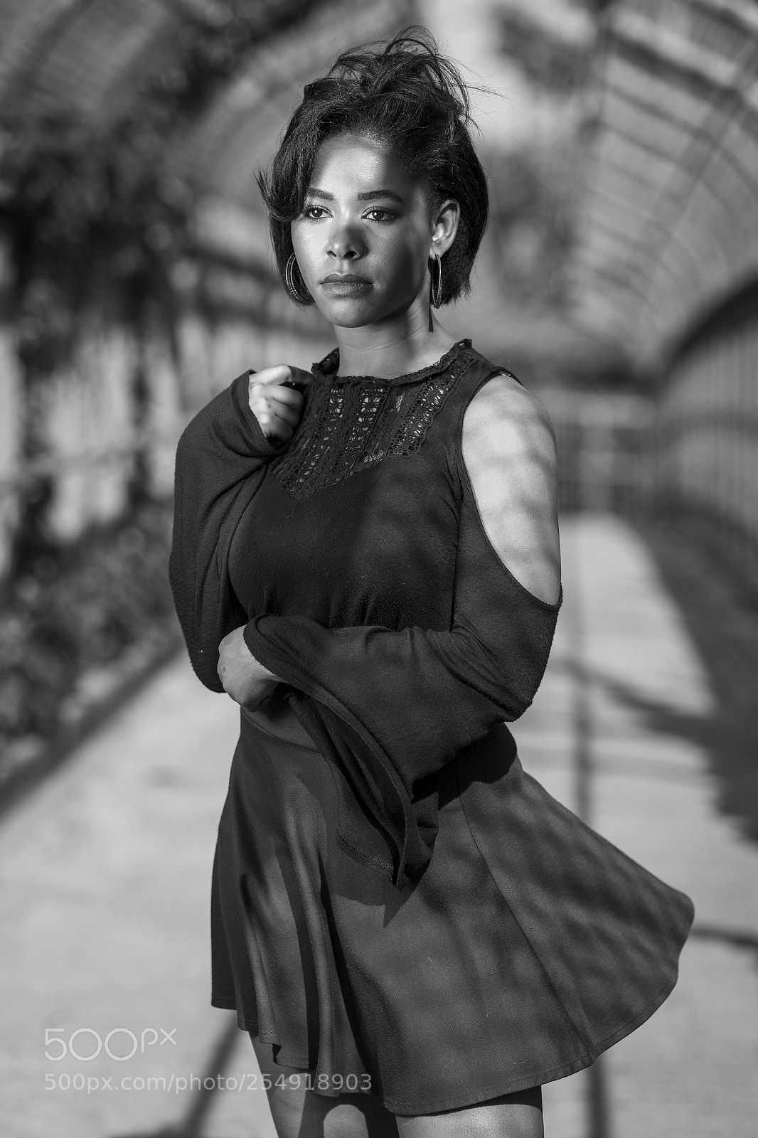 Fujifilm GFX 50S sample photo. Chain link i photography