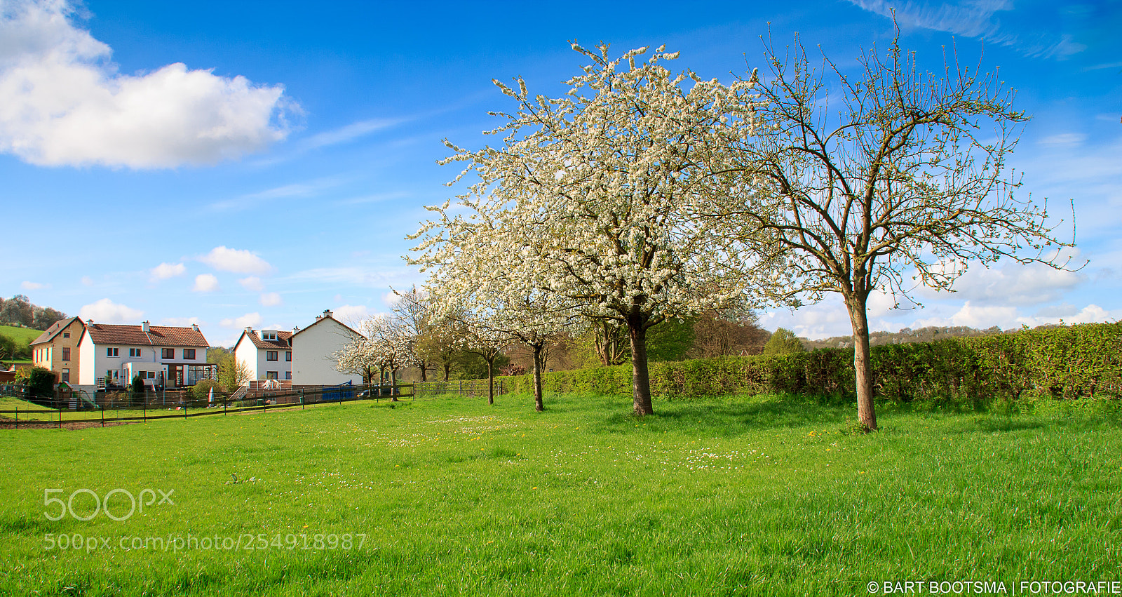 Canon EOS 1100D (EOS Rebel T3 / EOS Kiss X50) sample photo. Landscape spring photography