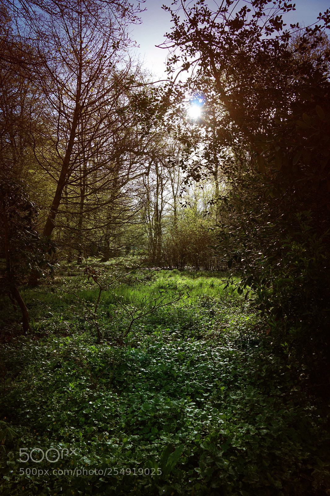 Sony a6000 sample photo. Morgenstunden photography