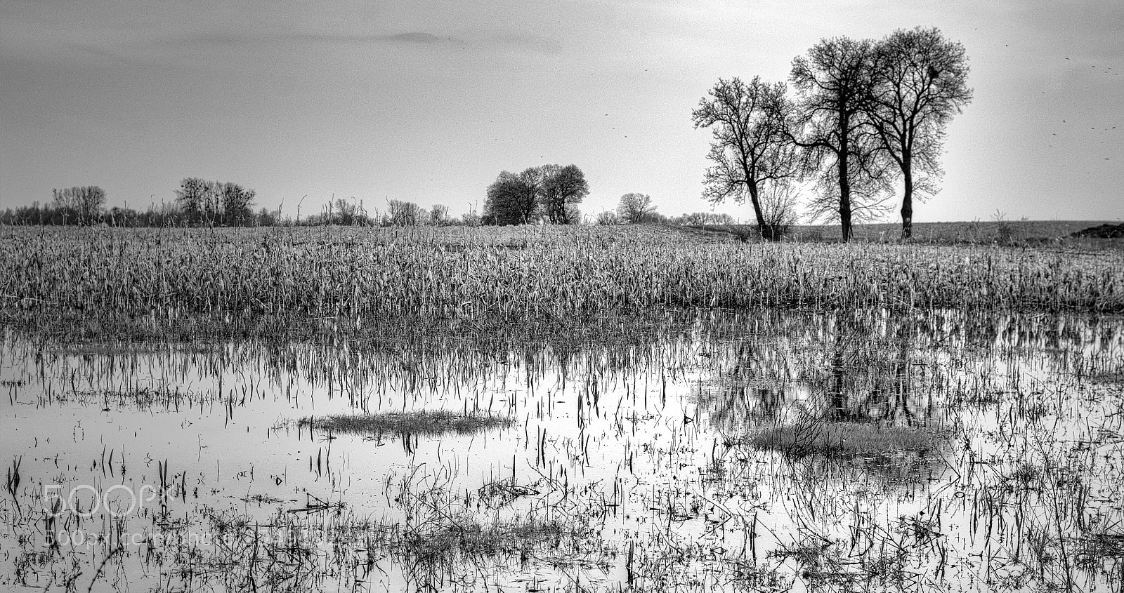 Pentax K-30 sample photo. Pond photography