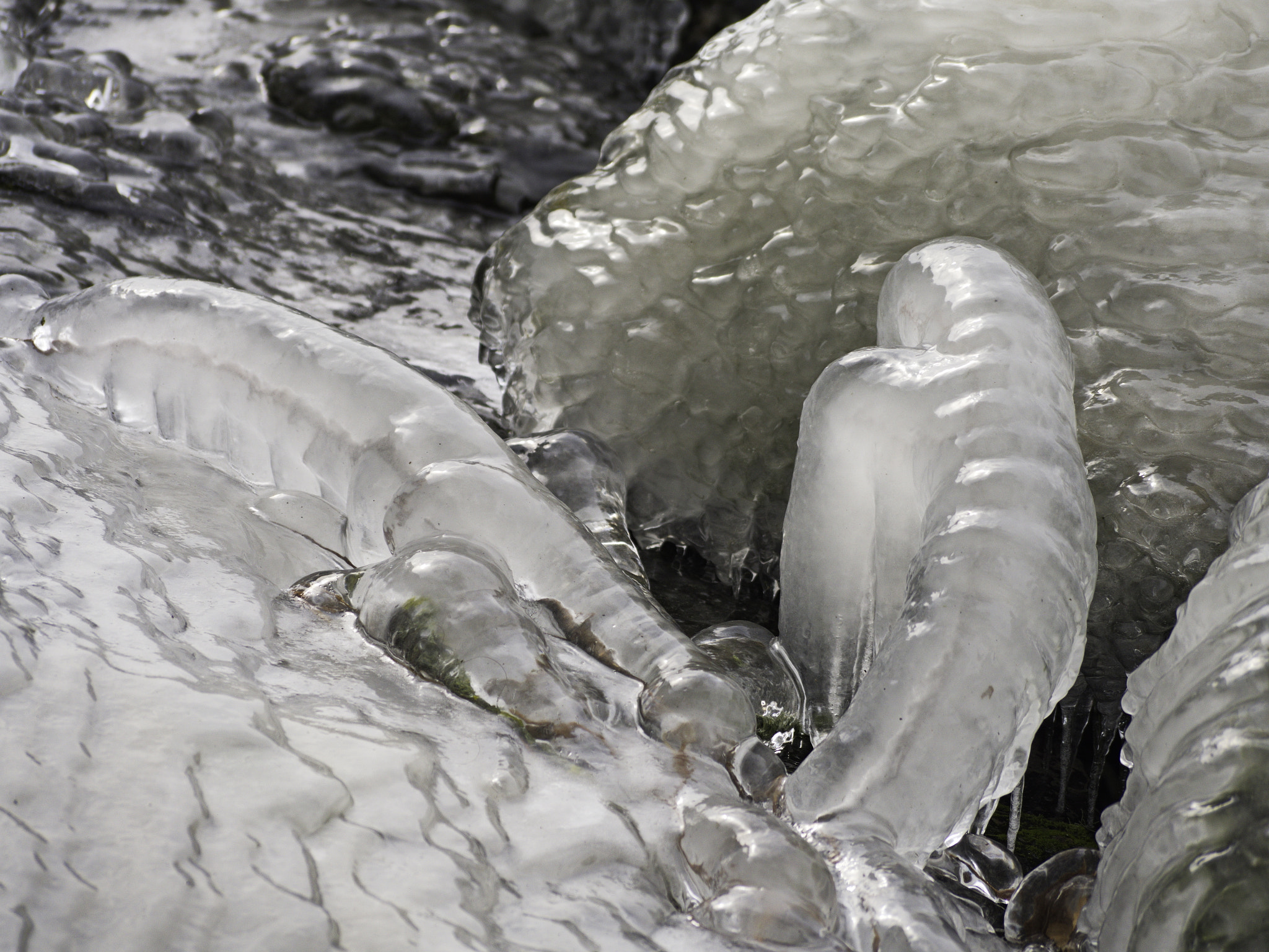 Panasonic Lumix DMC-GX8 sample photo. Ice art photography