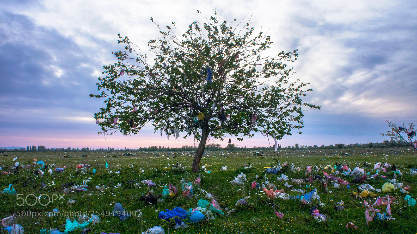 Sony Alpha NEX-7 sample photo. Save the green earth photography