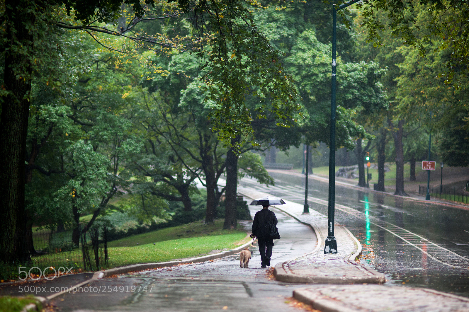 Nikon D700 sample photo. Central park photography