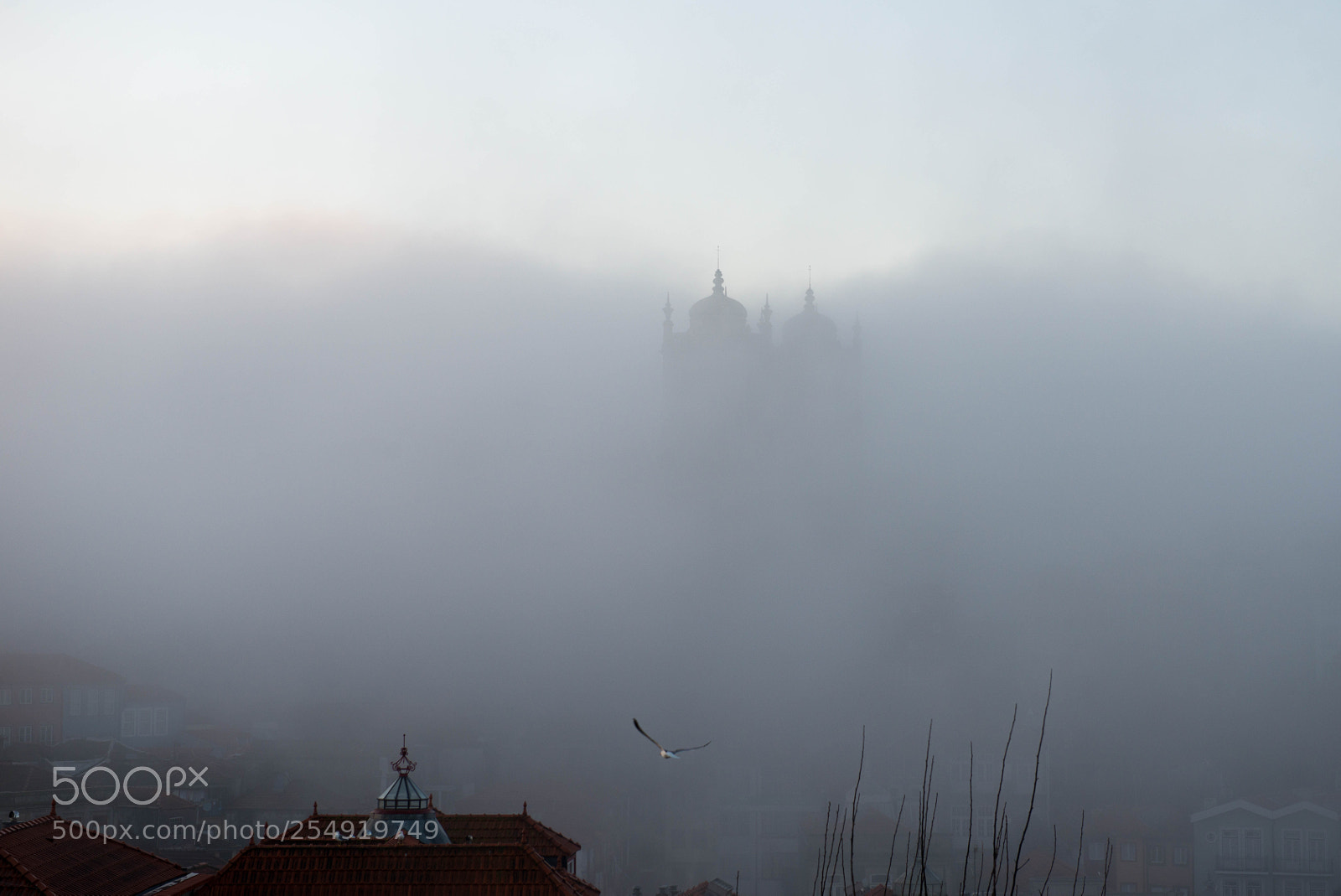 Nikon D800 sample photo. Porto cathedral (se catedral) photography