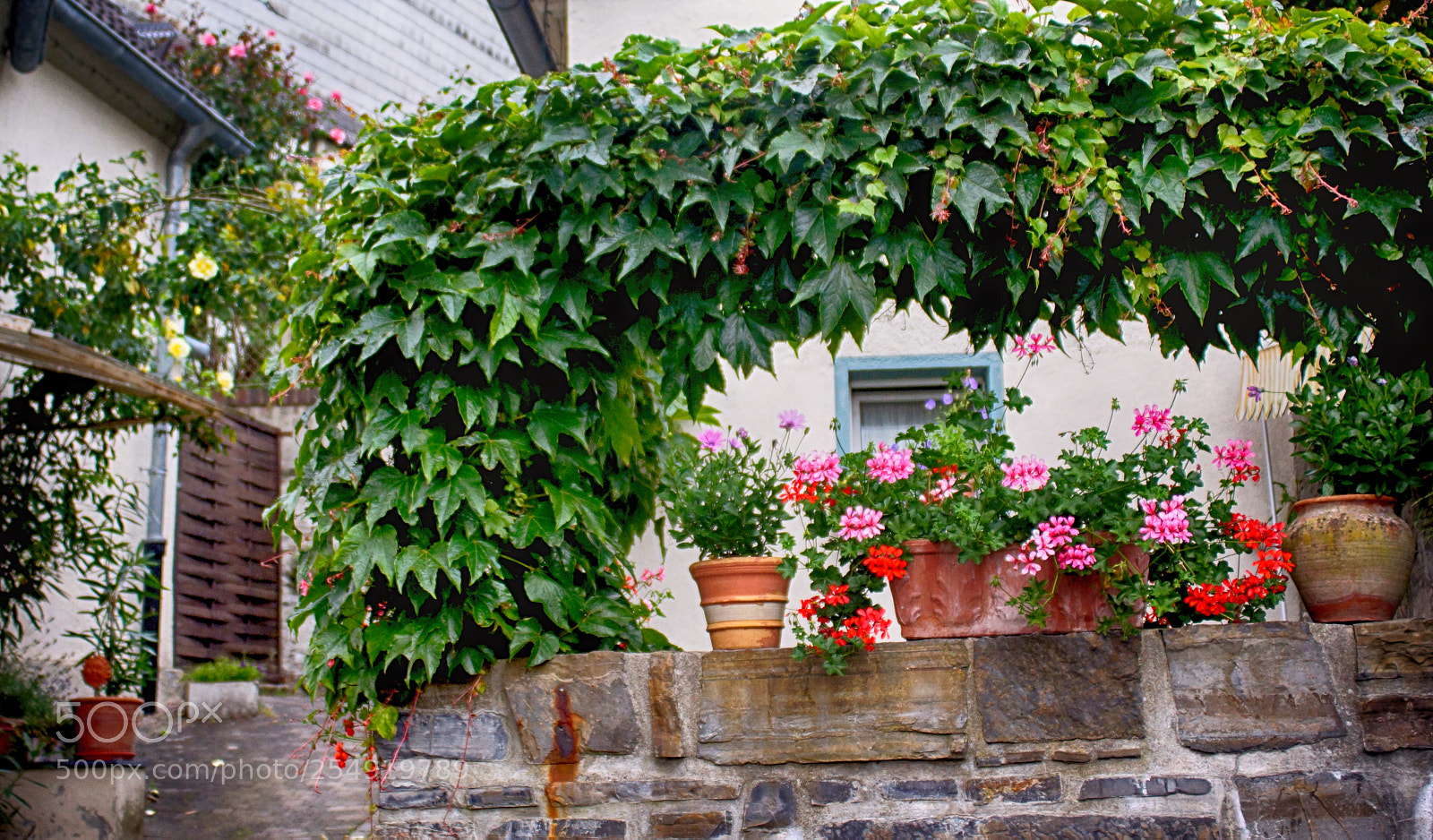 Sony SLT-A65 (SLT-A65V) sample photo. Willkommen mit blumen photography