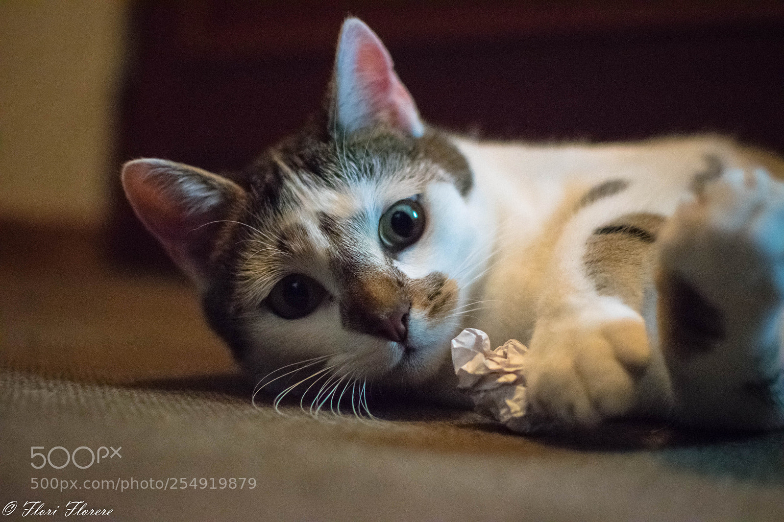 Nikon D5300 sample photo. So let's play! photography